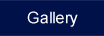 Photo Gallery